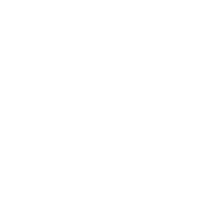 Taser